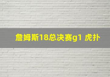 詹姆斯18总决赛g1 虎扑